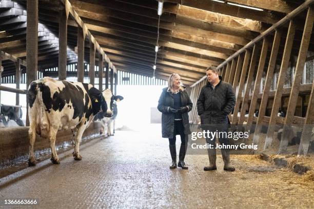 dairy farmer, businesswoman, and cows in barn - femalefocuscollection stock pictures, royalty-free photos & images