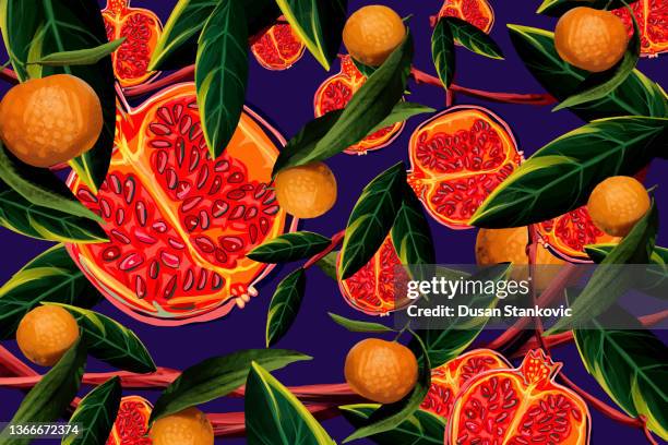 pomegranate time! - tropical deciduous forest stock illustrations