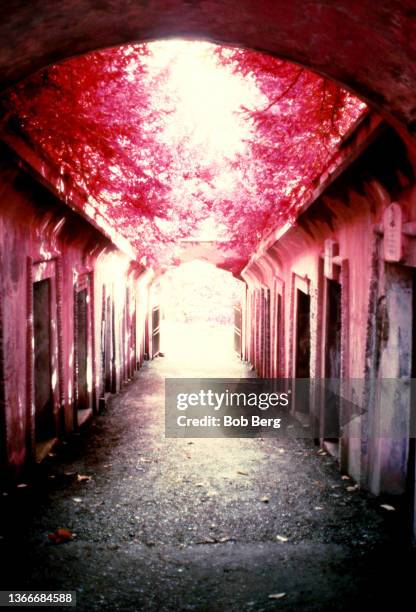 General view of the Entrance to the Egyptian Avenue, West Cemetery circa 1998 at Highgate Cemetery in London, England.