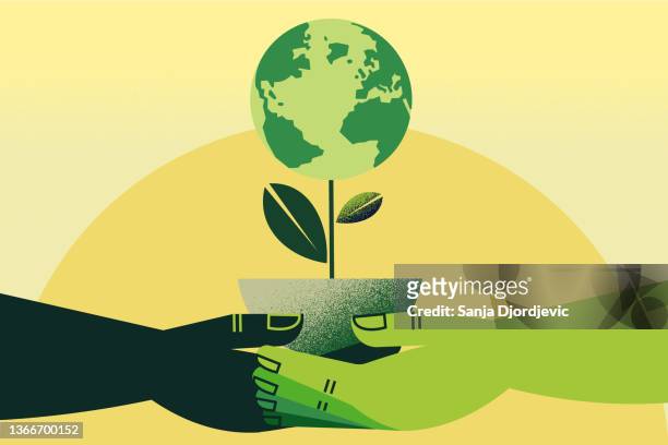 ilustraciones, imágenes clip art, dibujos animados e iconos de stock de manos sosteniendo la planta de tierra - environnement