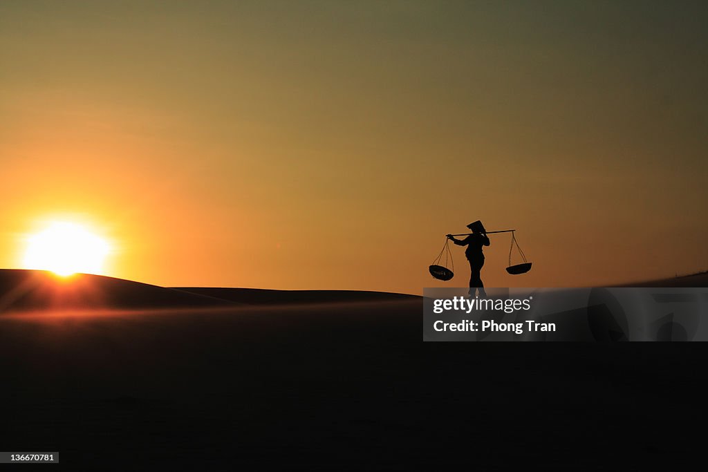 Sunrise in sand hill