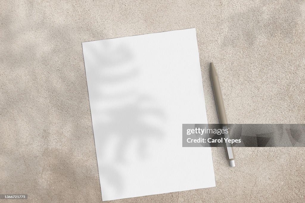 Blank paper sheet cards with mockup copy space in flowers sunlight