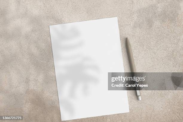 blank paper sheet cards with mockup copy space in flowers sunlight - magazine tape stock pictures, royalty-free photos & images