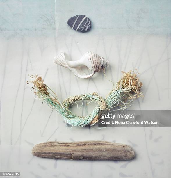Shell Ropes Rope Shells Photos and Premium High Res Pictures - Getty Images