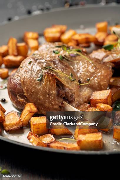 duck leg confit - confit stock pictures, royalty-free photos & images