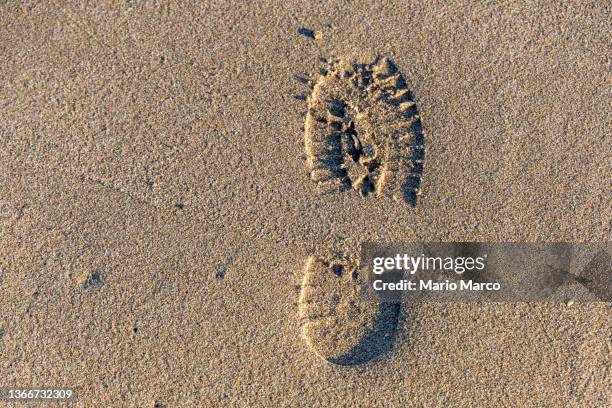 shoe prints on the beach - shoe print stock pictures, royalty-free photos & images