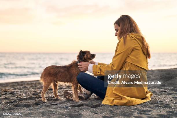 woman sitting on sandy shore stroking her dog at sunset - brown jacket foto e immagini stock