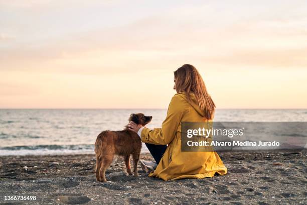 woman sitting on sandy shore stroking a stray dog at sunset - dogs in sand stock pictures, royalty-free photos & images