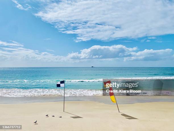 swim between beach saftey flags - surf life saving stockfoto's en -beelden