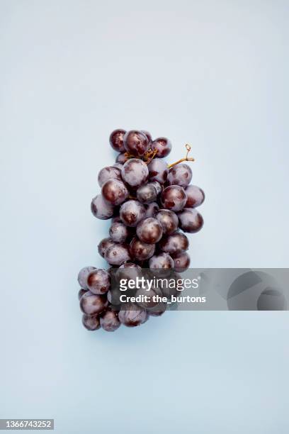high angle view of bunch of grapes on blue background - red grapes stock-fotos und bilder