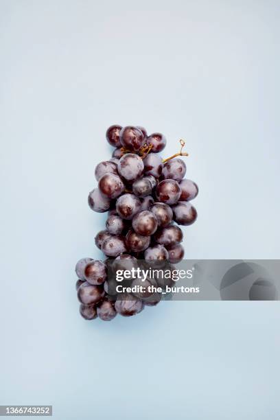 high angle view of bunch of grapes on blue background - wine grapes stock pictures, royalty-free photos & images