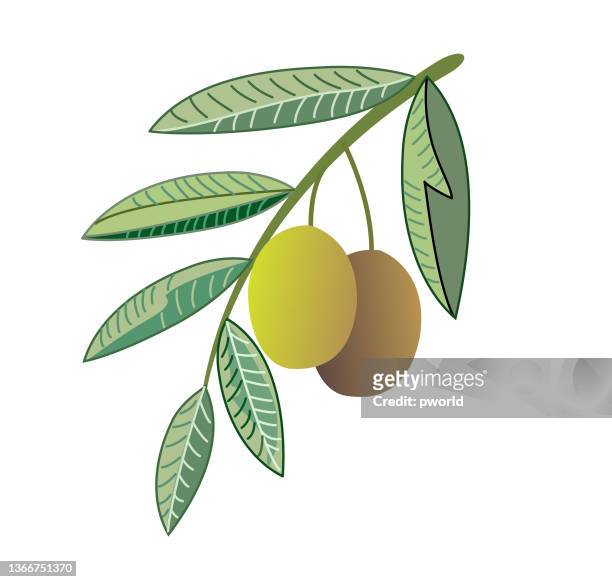olive background . - olive tree stock illustrations