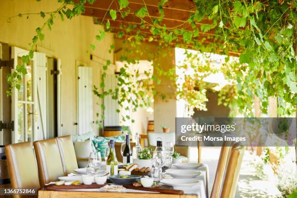 lunch served in restaurant during sunny day - sunny day stock pictures, royalty-free photos & images