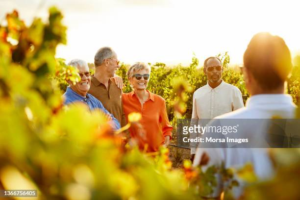 smiling friends talking to man in vineyard - toerisme stockfoto's en -beelden