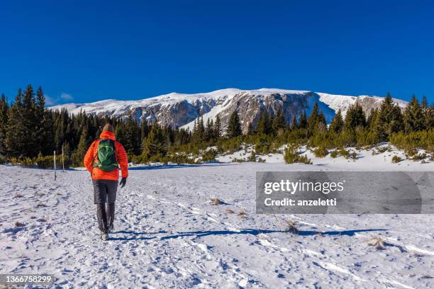 man on a hiking trail at the rax - lower austria stock pictures, royalty-free photos & images