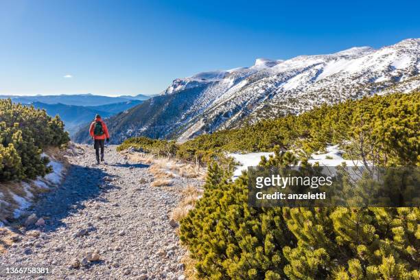 man on a hiking trail at the rax - lower austria stock pictures, royalty-free photos & images