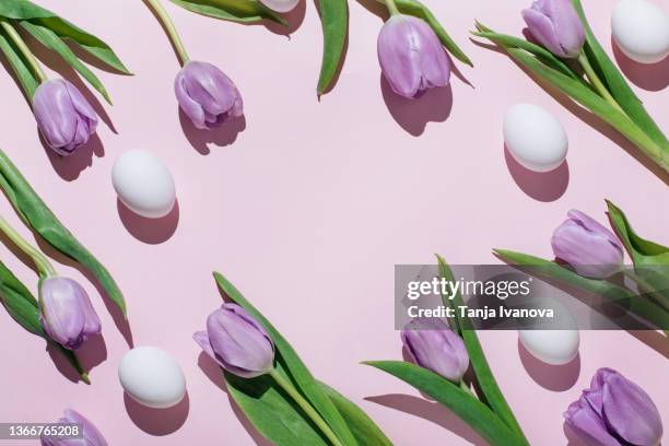 white easter eggs and lilac tulips on pink background. top view, flat lay, copy space. - easter background stock pictures, royalty-free photos & images