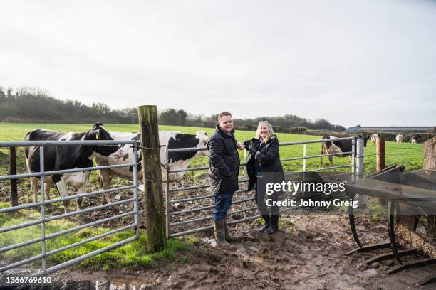 holstein dairy farmer and business colleague on farm - community investment stock pictures, royalty-free photos & images