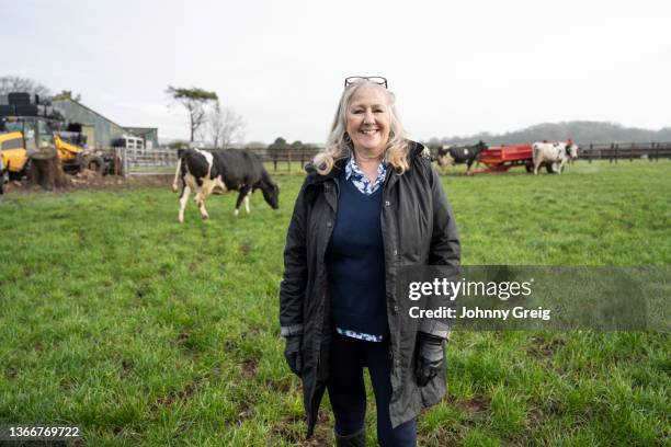 senior entrepreneur standing in grassy pasture of welsh farm - community investment stock pictures, royalty-free photos & images