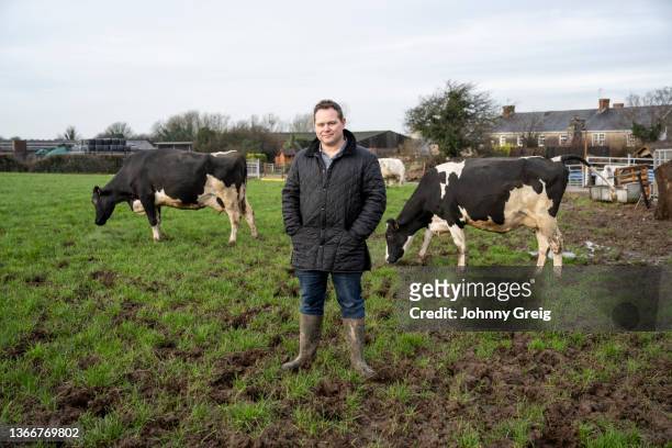 full length outdoor portrait of farmer and grazing holstein cows - welsh culture imagens e fotografias de stock