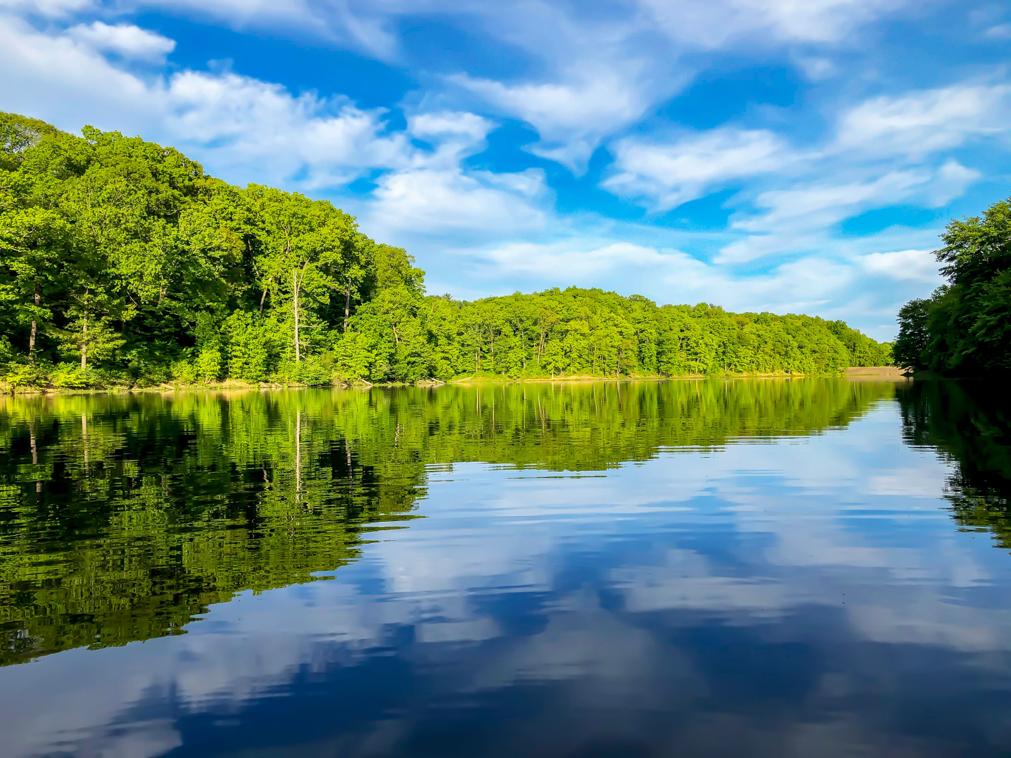 Quiet Reflection: The Shoreline of Monroe Lake with Distant Dam Quiet Reflection: The Shoreline of Monroe Lake with Distant Dam