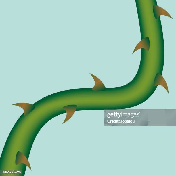 branch with thorns background - sharp stock illustrations