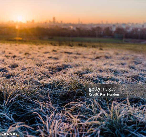 the london skyline from hampstead on a cold morning - hampstead heath fotografías e imágenes de stock