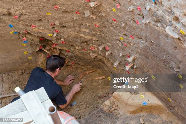 archeologist excavating at the sedlec ossuary in kutná hora (2018) - archaeology dig stock pictures, royalty-free photos & images