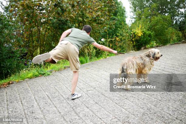 an unstable master and his dog - pulling stockfoto's en -beelden