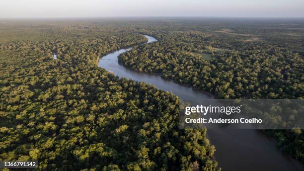 amazon rainforest and rivers on sunny days - brazilië stockfoto's en -beelden