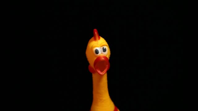 footage of rubber chicken dark background