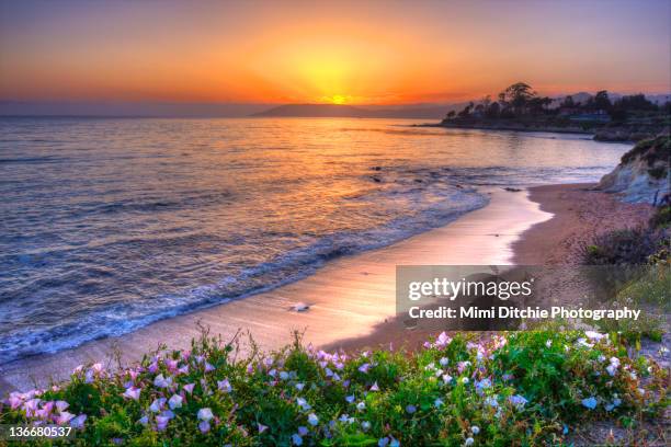 sunset at shell beach, california - 皮斯摩海灘 個照片及圖片檔