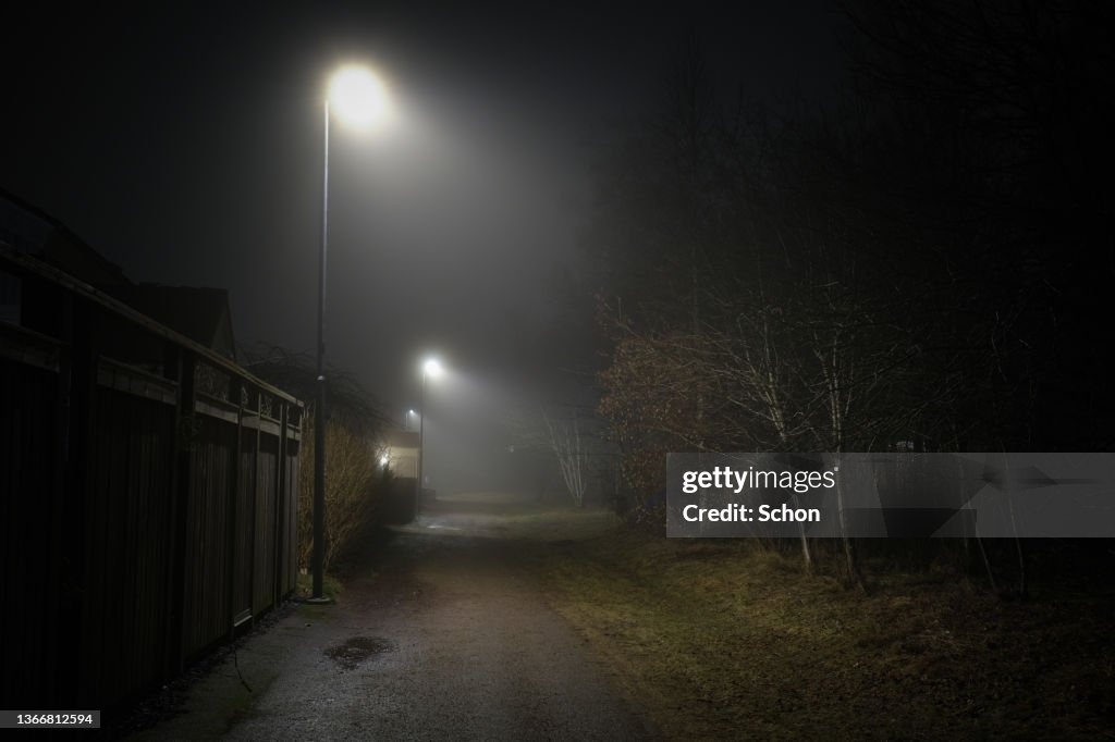 Street lights by a walkway in fog in the evening