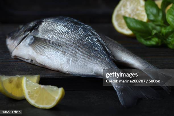 fresh fish on the table,high angle view of sea bream on table - raw fish fotografías e imágenes de stock