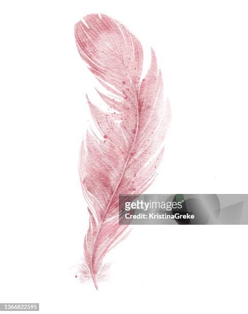 watercolor pink feather - feathers stock illustrations