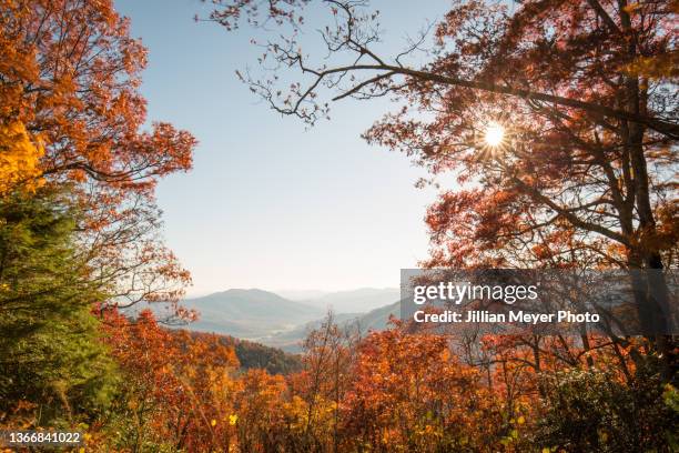 asheville, north carolina fall colors - asheville stock pictures, royalty-free photos & images