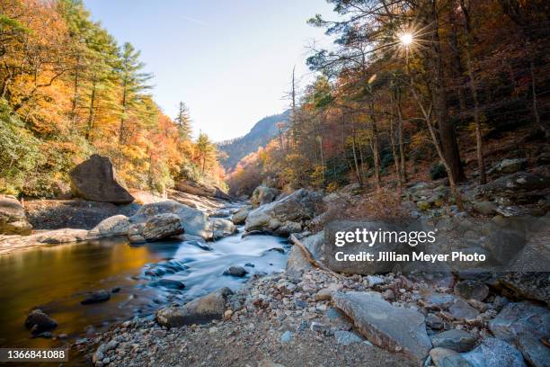 fall colors seen from linville gorge wilderness in north carolina - 北卡羅萊納州 個照片及圖片檔