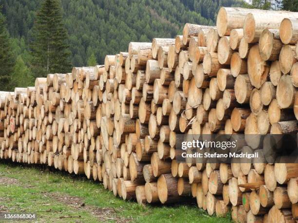 timber stacked in a stack cut into pieces - building cutaway stock pictures, royalty-free photos & images