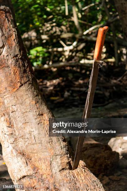 large knife known as a machete stuck into a log - machete stockfoto's en -beelden