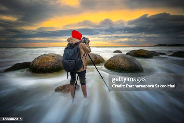 the bouder - moeraki boulders ストックフォトと画像