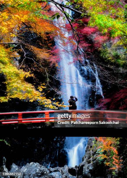 the nature falls - garden bridge fotografías e imágenes de stock