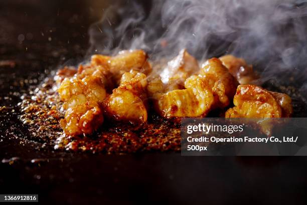 teppanyaki - teppanyaki stock pictures, royalty-free photos & images