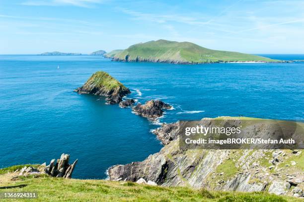 coastal landscape with blasket islands behind, dunmore head, daingean ui chuis, slea head drive, dingle peninsula, county kerry, ireland - dingle peninsula bildbanksfoton och bilder