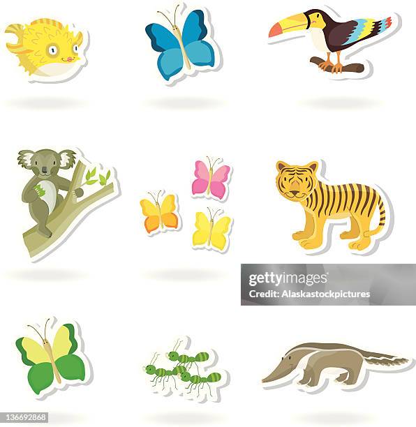 animal sticker (2) (jungle/tropical) - koala stock illustrations