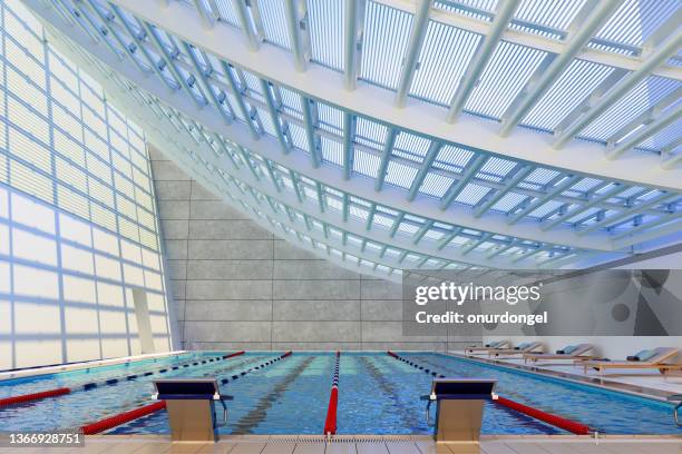 Row Pool 491 Row Pool Chairs Stock Photos, High-Res Pictures, and Images - Getty ...