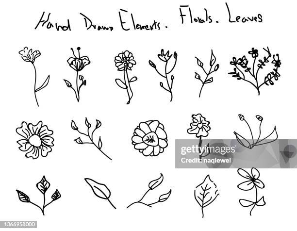 hand drawn line art elements floral and leaf pattern - poppy outline stock illustrations