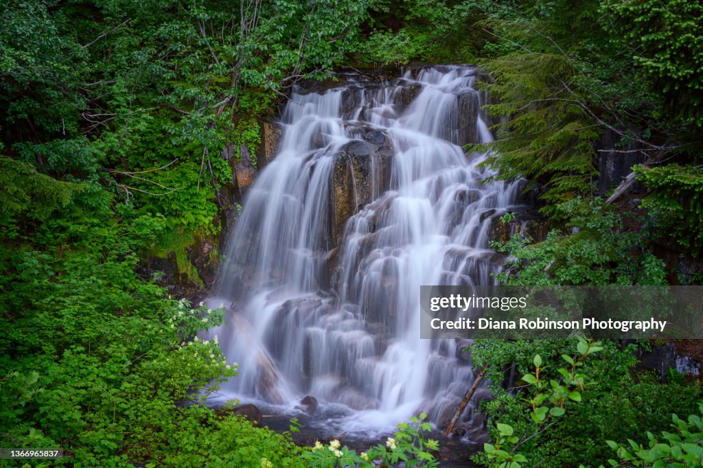 Fall Creek Falls on Stevens Canyon Road in Mt. Rainier National Park, Washington State