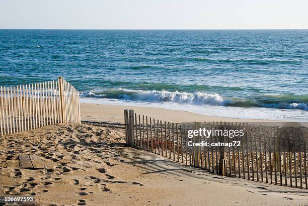 plage, les vagues se briser dans la lumière du matin - nags head photos et images de collection