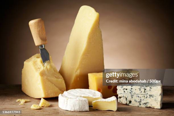 close-up of cheese on cheese board,latvia - hårdost bildbanksfoton och bilder