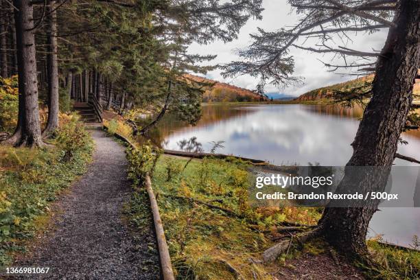 peaceful autumn day at the lake,spruce knob lake,west virginia,united states,usa - spruce knob mountain stock pictures, royalty-free photos & images